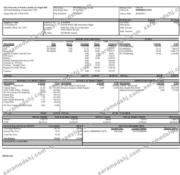 University of North Carolina pay stub Word and PDF template